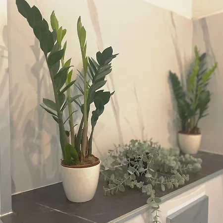 Apartment New