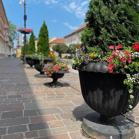 New Kosice